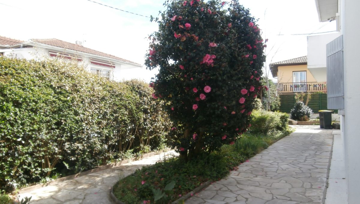 P3210015
